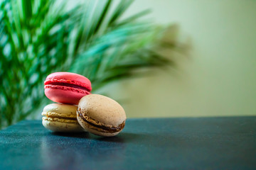 three macaroons cookies on a dark background with a palm tree at the back. Copy space.