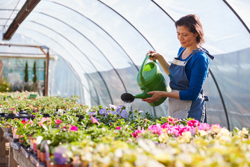 Mature Woman Working In Garden Center Watering Plants In Greenhouse With Watering Can