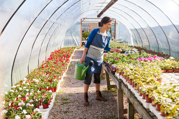 Mature Woman Working In Garden Center Watering Plants In Greenhouse With Watering Can