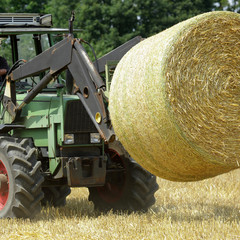 combine harvester working on field