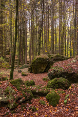 Geheimnissevolle Landschaft des Druidenhaines in der Fränkischen Schweiz