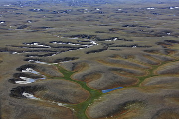 Tundra landscape in summer, Taymyr peninsula, aerial view
