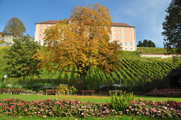 foliage in Meersburg, Lake Constance, Baden-Württemberg, Germany