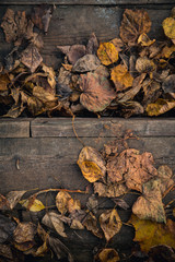 Wooden vintage steps covered with withered fall foliage