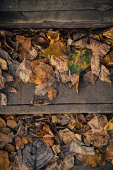 Wooden vintage steps covered with withered fall foliage