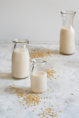 Vegan rice milk, non dairy alternative milk