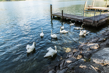 Hallstadt, Austria - July, 2019: Hallstatt village Austria. Tourist destination.