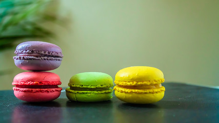 four macaroons cookies on a dark background with a palm tree at the back. Copy space.