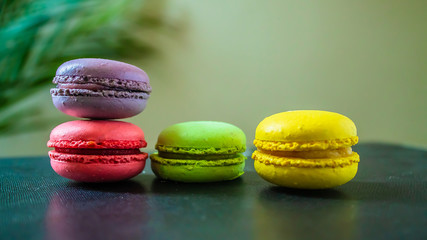 four macaroons cookies on a dark background with a palm tree at the back. Copy space.