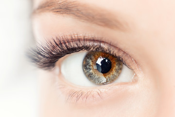 Macro woman eye heterochromia with beautiful brown red shades smokey makeup fashion. Concept eyelashes extensions procedure - obrazy, fototapety, plakaty