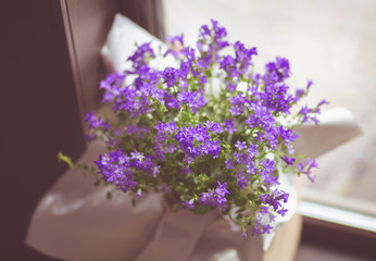purple potted flowers on the veranda by the window