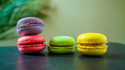 four macaroons cookies on a dark background with a palm tree at the back. Copy space.