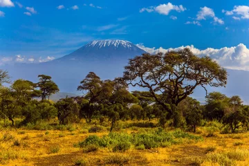 Papier Peint photo Kilimandjaro Amboseli est une réserve de biosphère