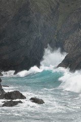 東洋のガラパゴス奄美大島