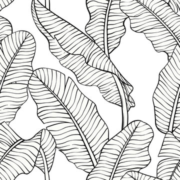 Seamless Pattern, Vector Illustration Of Banana Leaf Hand Drawn Sketch Cartoon Style