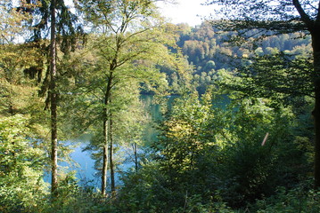 Daun – Dauner Maare – Eifelmaare