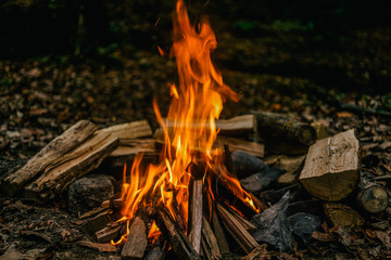 Burning wood at night. Campfire at touristic camp at nature in mountains. 