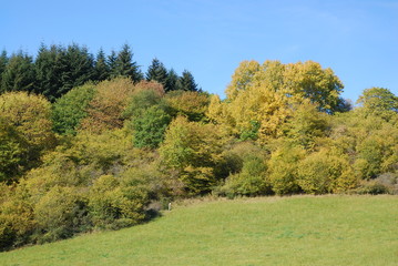 Daun – Dauner Maare – Eifelmaare