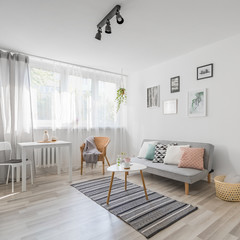 Living room in scandinavian style