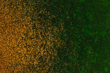 Top view of fallen yellow autumn leaves and green grass
