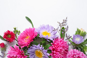 Composition with beautiful aster flowers on white background, top view