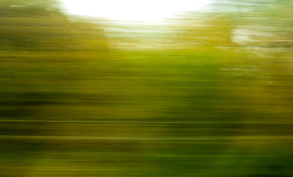 Trees in motion as an abstract background.