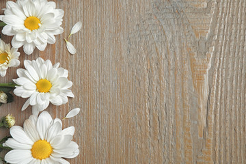 Beautiful white chamomile flowers on wooden background, flat lay. Space for text
