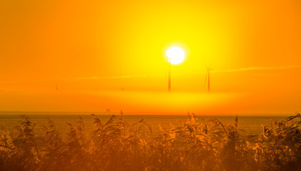 Wind turbines in a foggy field at sunrise in autumn