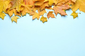 Pile of autumn leaves on blue background, top view. Space for text
