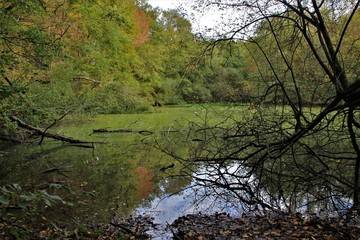 L'automne autour de l'eau.