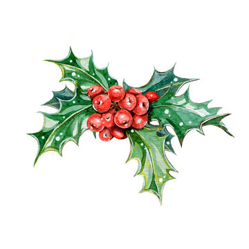 Holly branch with red berries and green leaves watercolor illustration. Ilex traditional seasonal decoration for Christmas and winter holidays. Aquafolium xmas symbol isolated on white background.