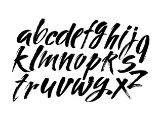 Vector Acrylic Brush Style Hand Drawn Alphabet Font. Calligraphy alphabet on a white background
