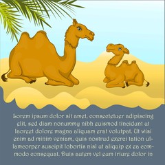 A camel with her calf . Cartoon funny camel sitting on sand, spiking and smiling to her baby camel. Can be used for kids books.Kids story illustration.