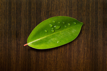 green leaf with drops of water on a wood texture background