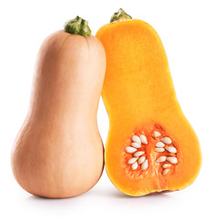 Butternut squash isolated on white background.