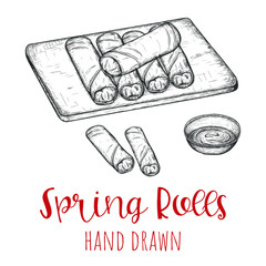 Spring rolls chinese dish, hand drawn vector illustration, isolated sketched design.