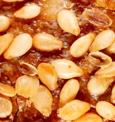 Sesame seeds on a brown crust of bread