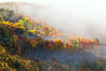 Brightly colored forests of mountain valley in the morning mist at autumn. Morning inversion in the Sulov rock mountains, Slovakia Europe.