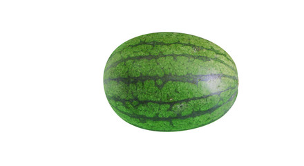 Watermelon on a white background
