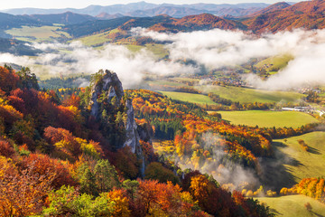 Brightly colored forests of mountain valley in the morning mist at autumn. Morning inversion in the...