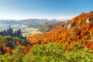 Fototapeta na wymiar Brightly colored forests of mountains at autumn. National Nature Reserve Sulov Rocks, Slovakia, Europe.