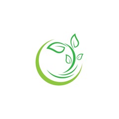 Leaf logo template  vector icon illustration