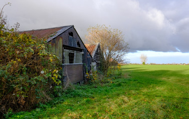 Abandoned metal cald farm buildings seen at the edge of an area of large pasture land.