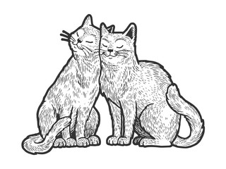 Cat love couple hug sketch engraving vector illustration. T-shirt apparel print design. Scratch board style imitation. Black and white hand drawn image.