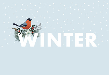 Winter web banner. Bullfinch bird sitting on W letter. Floral garland of pine tree branches, cranberries and narcissus flowers. Vintage design. Vector illustration background with falling snow.