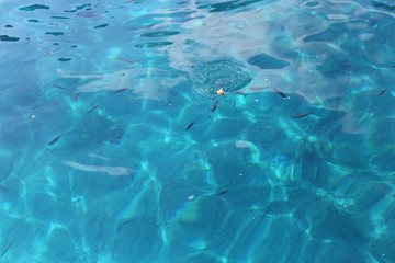  Clear water in the sea