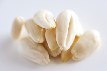 row, line of peeled young almonds on a white background, isolate, nut antioxidant