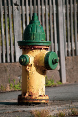 Fototapeta na wymiar Vintage looking yellow and green fire extinguisher in a small coastal town in Oregon.