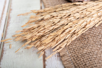 Bouquet dry ears of rice Thai jusmine and burlap or sackcloth on wood table.,top view