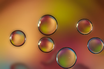 Oil color drops on a pastel background